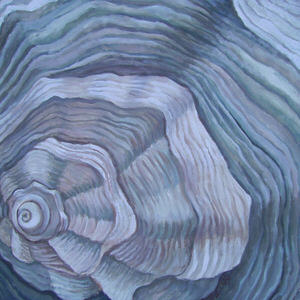 conchiglia-a-spirale