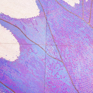 particolare-ali-di-farfalla