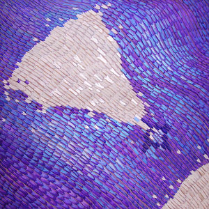 particolare-di-ali-di-farfalla-v