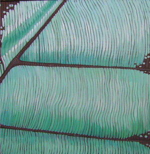 particolare-di-ali-di-farfalla