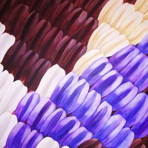 particolare-di-scaglie-di-farfalla