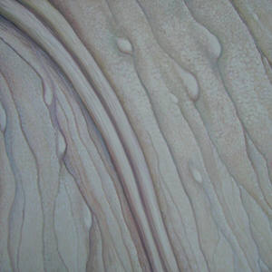 particolare-di-lillium-bianco