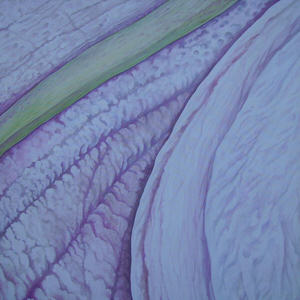 particolare-di-lillium