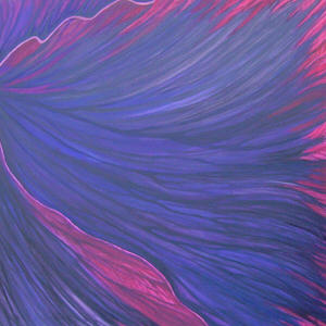 viola-del-pensiero-quasi-nera