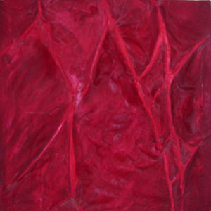 petalo-di-rosa-in-rilievo