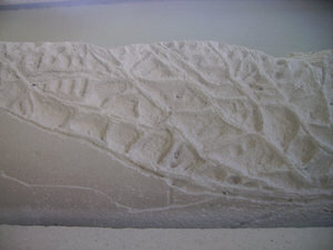 petalo-di-rosa-tridimensionale